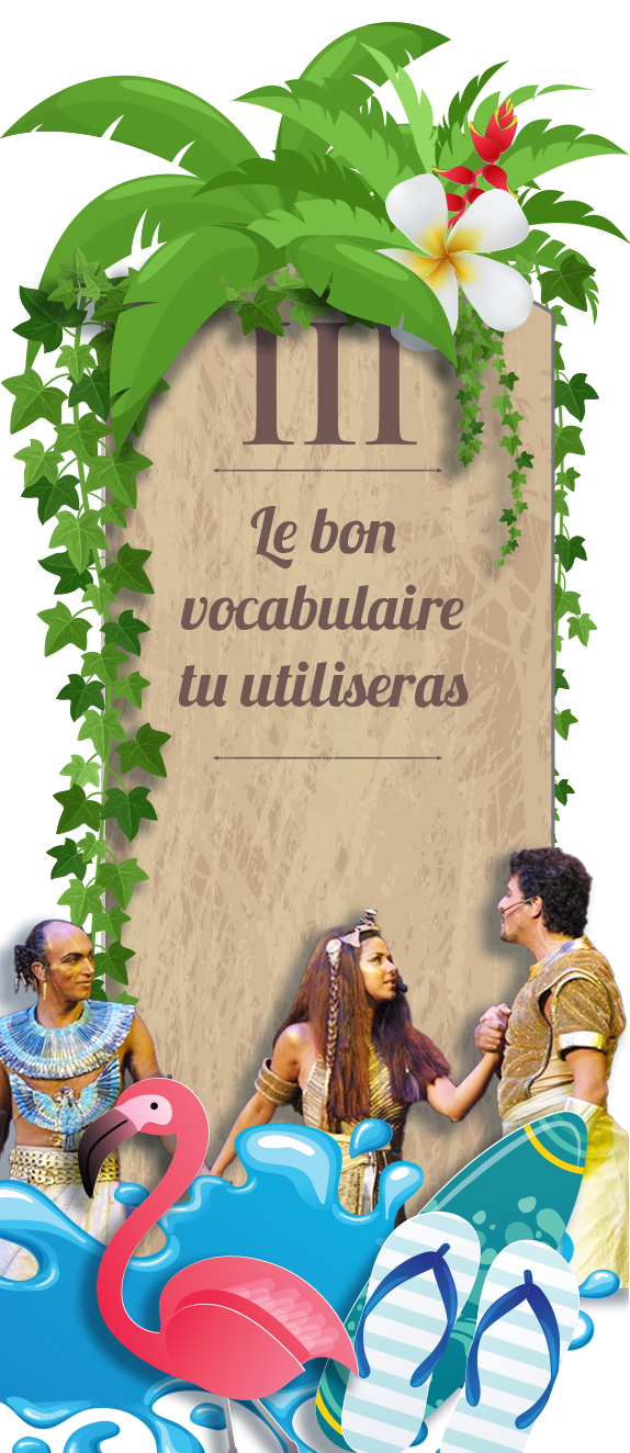 Commandement 3 : le bon vocabulaire tu utiliseras